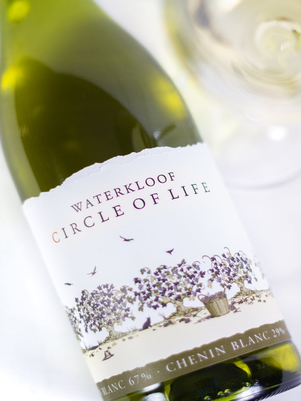 Waterkloof Circle of Life White