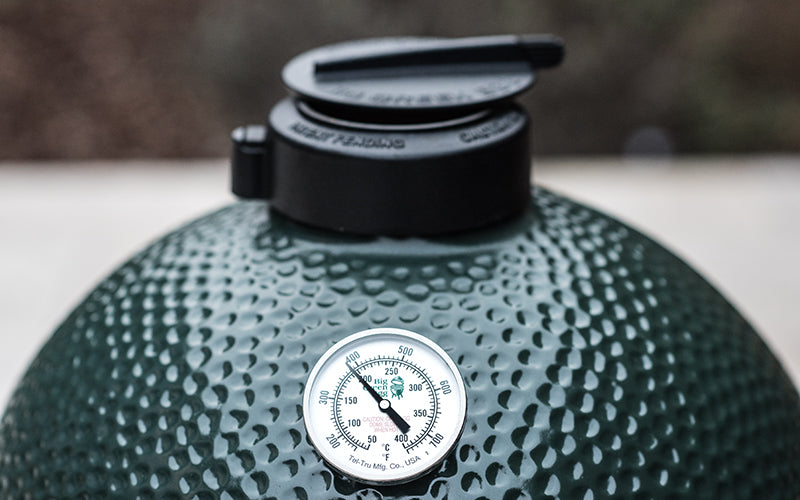 rEGGulator Big Green EGG