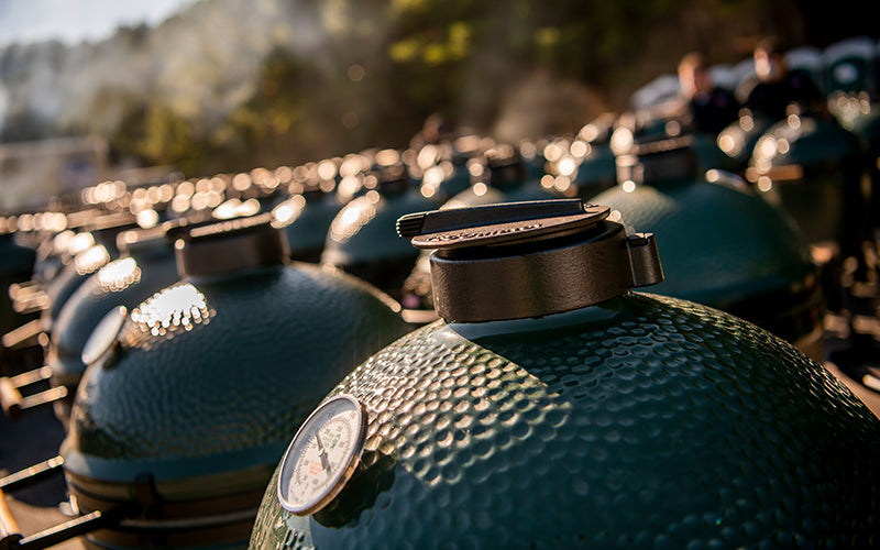 rEGGulator Big Green EGG